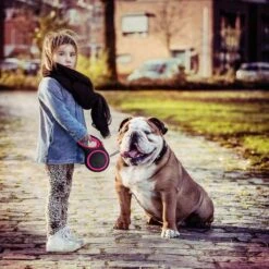 IGOODS - Uitlaatriem - Honden Riem - Katten Riem - Uitlaatriem Voor Dieren - Rollijn - 5 Meter Lang Roze 16 IGOODS - Uitlaatriem - Honden Riem - Katten Riem - Uitlaatriem Voor Dieren - Rollijn - 5 Meter Lang Roze -Exporteren Alles Voor Honden Winkel 1200x1200 716