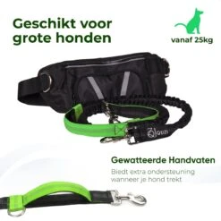 Canicross Looplijn Hond Met Heupriem Voor Hardlopen - Elastische Handsfree Hondenriem - Honden Trainingslijn - 150/200cm - Groen 17 Canicross Looplijn Hond Met Heupriem Voor Hardlopen - Elastische Handsfree Hondenriem - Honden Trainingslijn - 150/200cm - Groen -Exporteren Alles Voor Honden Winkel 1200x1200 737