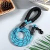 Merkloos Reflecterende Hondenriem - Nylon Hondenlijn – Honden Riem Met Soft Handvat – Blauw – 150CM -Exporteren Alles Voor Honden Winkel 1200x1200 738