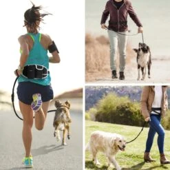 BOTC Looplijn Hond Met Heupriem Voor Hardlopen - Hondenriem - Zwart 18 BOTC Looplijn Hond Met Heupriem Voor Hardlopen - Hondenriem - Zwart -Exporteren Alles Voor Honden Winkel 1200x1200 750