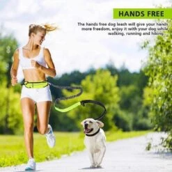 Hondenriem Hardloopriem Elastische Reflecterende Geschikt Voor Hardlopen - Handsfree Riem Met Opbergtasje – Hond Looplijn - Schokabsorberend - Groen -Exporteren Alles Voor Honden Winkel 1200x1200 755