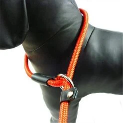 LOUZIR Cesar Millan Sliplijn Met Stop - Hondenriem - Rood - 130 Cm 24 LOUZIR Cesar Millan Sliplijn Met Stop - Hondenriem - Rood - 130 Cm -Exporteren Alles Voor Honden Winkel 1200x1200 758