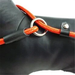 LOUZIR Cesar Millan Sliplijn Met Stop - Hondenriem - Rood - 130 Cm 27 LOUZIR Cesar Millan Sliplijn Met Stop - Hondenriem - Rood - 130 Cm -Exporteren Alles Voor Honden Winkel 1200x1200 761