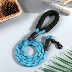 Comfortabele Hondenriem Met Gevoerd Handvat – Stevige Nylon Hondenlijn – Riem Voor Honden 11 Comfortabele Hondenriem Met Gevoerd Handvat – Stevige Nylon Hondenlijn – Riem Voor Honden -Exporteren Alles Voor Honden Winkel 1200x1200 773