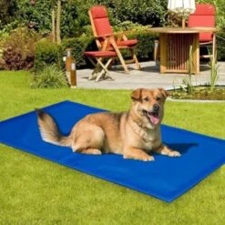 Koeling Mat Voor Huisdieren - 60 X 80 Cm -Exporteren Alles Voor Honden Winkel 1200x1200 801