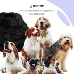 All 4 Pets Supply® Hondenmand Donut - Kattenmand - Maat S - Geschikt Voor Honden/katten Tot 40 Cm - Hondenkussen - Zwart -Exporteren Alles Voor Honden Winkel 1200x1200 809