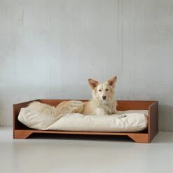 STUDIO ANIMAUX Hondenmand Met Katoenen Kussen (maat L) | 119 X 76,5 Cm | Hondenbed | Hondensofa | Hondenbank | Hout | Bruin -Exporteren Alles Voor Honden Winkel 1200x1200 825