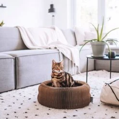 District 70 MAZE 3-in-1 Opvouwbare Kartonnen Kattenmand - Inclusief Catnip Balletje - Voor Slapen, Spelen En Krabben! -Exporteren Alles Voor Honden Winkel 1200x1200 829