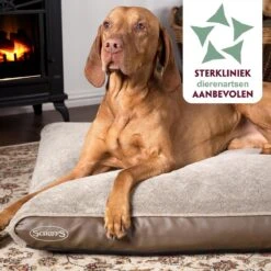Scruffs Chateau - Hondenbed Orthopedisch Met Memory Foam Voor Extra Steun Voor Rug En Gewrichten - Grijs & Bruin Maat M/L - Kleur: Grijs, Maat: Large 24 Scruffs Chateau - Hondenbed Orthopedisch Met Memory Foam Voor Extra Steun Voor Rug En Gewrichten - Grijs & Bruin Maat M/L - Kleur: Grijs, Maat: Large -Exporteren Alles Voor Honden Winkel 1200x1200 837