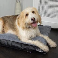 Scruffs Chateau - Hondenbed Orthopedisch Met Memory Foam Voor Extra Steun Voor Rug En Gewrichten - Grijs & Bruin Maat M/L - Kleur: Grijs, Maat: Large 38 Scruffs Chateau - Hondenbed Orthopedisch Met Memory Foam Voor Extra Steun Voor Rug En Gewrichten - Grijs & Bruin Maat M/L - Kleur: Grijs, Maat: Large -Exporteren Alles Voor Honden Winkel 1200x1200 842