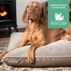 Scruffs Chateau - Hondenbed Orthopedisch Met Memory Foam Voor Extra Steun Voor Rug En Gewrichten - Grijs & Bruin Maat M/L - Kleur: Grijs, Maat: Large 40 Scruffs Chateau - Hondenbed Orthopedisch Met Memory Foam Voor Extra Steun Voor Rug En Gewrichten - Grijs & Bruin Maat M/L - Kleur: Grijs, Maat: Large -Exporteren Alles Voor Honden Winkel 1200x1200 844