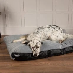 Scruffs Chateau - Hondenbed Orthopedisch Met Memory Foam Voor Extra Steun Voor Rug En Gewrichten - Grijs & Bruin Maat M/L - Kleur: Grijs, Maat: Medium 33 Scruffs Chateau - Hondenbed Orthopedisch Met Memory Foam Voor Extra Steun Voor Rug En Gewrichten - Grijs & Bruin Maat M/L - Kleur: Grijs, Maat: Medium -Exporteren Alles Voor Honden Winkel 1200x1200 847