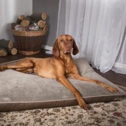 Scruffs Chateau - Hondenbed Orthopedisch Met Memory Foam Voor Extra Steun Voor Rug En Gewrichten - Grijs & Bruin Maat M/L - Kleur: Grijs, Maat: Medium 36 Scruffs Chateau - Hondenbed Orthopedisch Met Memory Foam Voor Extra Steun Voor Rug En Gewrichten - Grijs & Bruin Maat M/L - Kleur: Grijs, Maat: Medium -Exporteren Alles Voor Honden Winkel 1200x1200 849