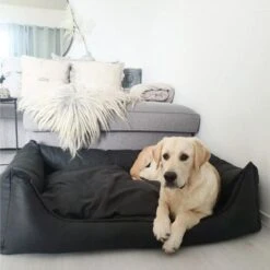 Maxxnobel Orthopedisch Hondenkussen - Lederlook/Teddy - M - 100 X 80 Cm - Zwart -Exporteren Alles Voor Honden Winkel 1200x1200 900