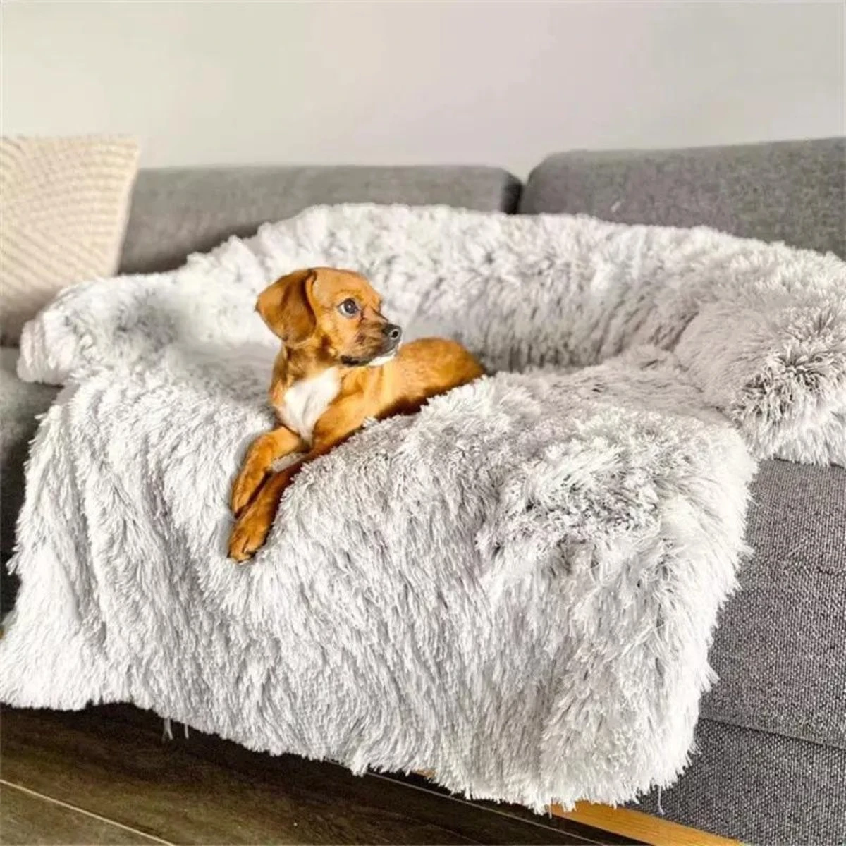 Quzi Hondenkussen Voor Bank - Fluffy Hondendeken - Bankbescherming Hond - 85x85cm - Afneembare Hoes 7 Quzi Hondenkussen Voor Bank - Fluffy Hondendeken - Bankbescherming Hond - 85x85cm - Afneembare Hoes - Afbeelding 5