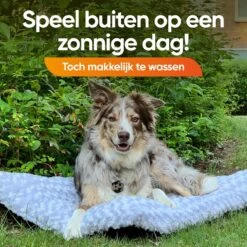 Happysnoots Hondenkussen 70 X 50cm - Hondenbed - Donut Dog Bed - Fluffy - Grijs - Wasbaar -Exporteren Alles Voor Honden Winkel 1200x1200 916