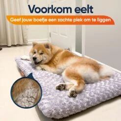 Happysnoots Hondenkussen 70 X 50cm - Hondenbed - Donut Dog Bed - Fluffy - Grijs - Wasbaar -Exporteren Alles Voor Honden Winkel 1200x1200 918
