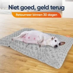 Happysnoots Hondenkussen 70 X 50cm - Hondenbed - Donut Dog Bed - Fluffy - Grijs - Wasbaar -Exporteren Alles Voor Honden Winkel 1200x1200 920
