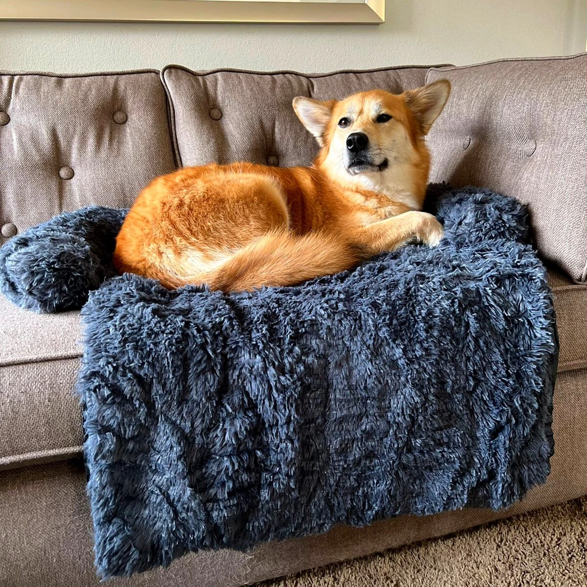 Premium Hondendeken Bank - Hondenkussens - Hondenmand Bank - Hondendeken Voor Op De Bank - Bankbeschermer - Donkergrijs 3 Premium Hondendeken Bank - Hondenkussens - Hondenmand Bank - Hondendeken Voor Op De Bank - Bankbeschermer - Donkergrijs