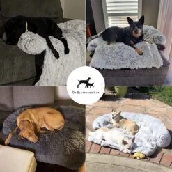 Premium Hondendeken Bank - Hondenkussens - Hondenmand Bank - Hondendeken Voor Op De Bank - Bankbeschermer - Donkergrijs 16 Premium Hondendeken Bank - Hondenkussens - Hondenmand Bank - Hondendeken Voor Op De Bank - Bankbeschermer - Donkergrijs -Exporteren Alles Voor Honden Winkel 1200x1200 936