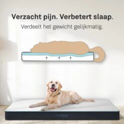 CozySense® - Orthopedisch Hondenkussen - Hondenkussen 90 X 55 Cm - Ook Geschikt Als Benchkussen & Hondenbed - Hondenkussen Bank - Traagschuim - Waterdicht - Wasbare Hoes - Maat L 12 CozySense® - Orthopedisch Hondenkussen - Hondenkussen 90 X 55 Cm - Ook Geschikt Als Benchkussen & Hondenbed - Hondenkussen Bank - Traagschuim - Waterdicht - Wasbare Hoes - Maat L -Exporteren Alles Voor Honden Winkel 1200x1200 940