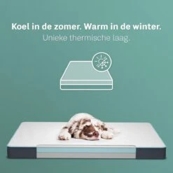 CozySense® - Orthopedisch Hondenkussen - Hondenkussen 90 X 55 Cm - Ook Geschikt Als Benchkussen & Hondenbed - Hondenkussen Bank - Traagschuim - Waterdicht - Wasbare Hoes - Maat L 13 CozySense® - Orthopedisch Hondenkussen - Hondenkussen 90 X 55 Cm - Ook Geschikt Als Benchkussen & Hondenbed - Hondenkussen Bank - Traagschuim - Waterdicht - Wasbare Hoes - Maat L -Exporteren Alles Voor Honden Winkel 1200x1200 941