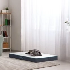 CozySense® - Orthopedisch Hondenkussen - Hondenkussen 90 X 55 Cm - Ook Geschikt Als Benchkussen & Hondenbed - Hondenkussen Bank - Traagschuim - Waterdicht - Wasbare Hoes - Maat L 15 CozySense® - Orthopedisch Hondenkussen - Hondenkussen 90 X 55 Cm - Ook Geschikt Als Benchkussen & Hondenbed - Hondenkussen Bank - Traagschuim - Waterdicht - Wasbare Hoes - Maat L -Exporteren Alles Voor Honden Winkel 1200x1200 943