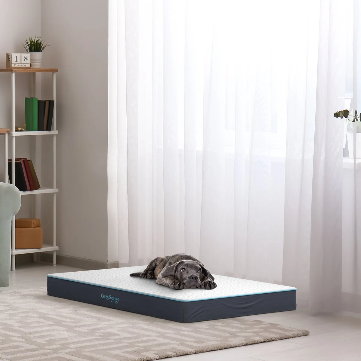 CozySense® - Orthopedisch Hondenkussen - Hondenkussen 90 X 55 Cm - Ook Geschikt Als Benchkussen & Hondenbed - Hondenkussen Bank - Traagschuim - Waterdicht - Wasbare Hoes - Maat L 8 CozySense® - Orthopedisch Hondenkussen - Hondenkussen 90 X 55 Cm - Ook Geschikt Als Benchkussen & Hondenbed - Hondenkussen Bank - Traagschuim - Waterdicht - Wasbare Hoes - Maat L - Afbeelding 6