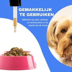 Aerend - Kalmerende Druppels Voor Honden - Zanipro® 30ml - Ontspanning En Antistress Middel Om Gedragsproblemen Te Verlichten - 100% Natuurlijk Uit Het Verenigd Koninkrijk - Met Ashwagandha & Valeriaan - No-stress - Voor Thuis En Onderweg -Exporteren Alles Voor Honden Winkel 1200x1200 96