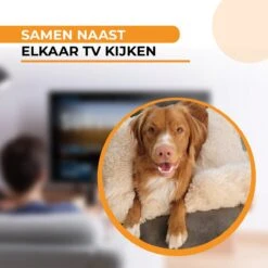 Origineel Hondendeken Voor Bank M – Hondenkleed Fluffy – Pluche Hondenbed - Hondenmand Premium - Volledig Afritsbaar - Beige -Exporteren Alles Voor Honden Winkel 1200x1200 968