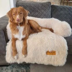 Origineel Hondendeken Voor Bank M – Hondenkleed Fluffy – Pluche Hondenbed - Hondenmand Premium - Volledig Afritsbaar - Beige -Exporteren Alles Voor Honden Winkel 1200x1200 971