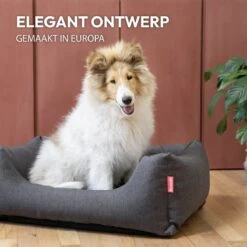 Snoozle Hondenmand - Zacht En Luxe Hondenkussen - Hondenbed - Wasbaar - Hondenmanden - 80 X 60cm -Exporteren Alles Voor Honden Winkel 1200x1200 981