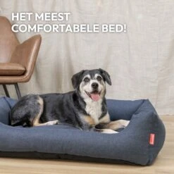 Snoozle Hondenmand - Zacht En Luxe Hondenkussen - Hondenbed - Wasbaar - Hondenmanden - 80 X 60cm -Exporteren Alles Voor Honden Winkel 1200x1200 982