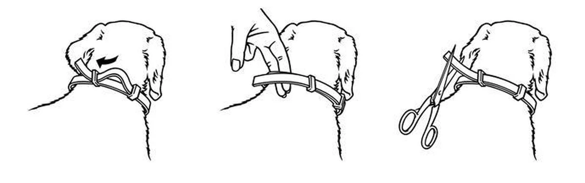 Seresto Vlooien En Tekenband - Grote Hond - >8 Kg 6 Seresto Vlooien En Tekenband - Grote Hond - >8 Kg - Afbeelding 4