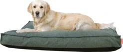 Snoozle Orthopedische Hondenmand - Zacht En Luxe Hondenkussen - Hondenbed - Wasbaar - Hondenmanden - 100 X 70 Cm - Groen -Exporteren Alles Voor Honden Winkel 1200x511 2