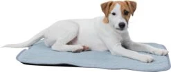 Trixie Junior Ligmat Fresh Lichtblauw - 60X50 CM -Exporteren Alles Voor Honden Winkel 1200x512 1
