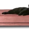 Maxxpro Katten- En Hondenbank - Roze - Verhoogd Met Houten Poten - Fluweel Materiaal - 90 X 44 X 34 CM - Huisdieren Tot 80 KG -Exporteren Alles Voor Honden Winkel 1200x585 8