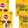 Pedigree Adult Honden Natvoer - Vlees & Gevogelte In Saus - 48 X 100g 1 Pedigree Adult Honden Natvoer - Vlees & Gevogelte In Saus - 48 X 100g -Exporteren Alles Voor Honden Winkel 1200x595