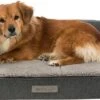 Trixie Hondenmand Sofa Bendson Orthopedisch Grijs (80X60 CM) 2 Trixie Hondenmand Sofa Bendson Orthopedisch Grijs (80X60 CM) -Exporteren Alles Voor Honden Winkel 1200x610 2