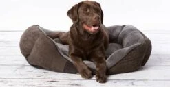 Hondenmand Zacht En Stevig, Anti-Slip En Wasbaar - Scruffs Chester Box Bed - In Grijs En Bruin In Maat S Tot XL - Kleur: Grijs, Maat: Large -Exporteren Alles Voor Honden Winkel 1200x618 3