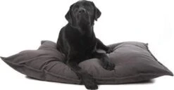 Lex & Max Tivoli - Losse Hoes Voor Hondenkussen - Rechthoek - Antraciet - 100x70cm 11 Lex & Max Tivoli - Losse Hoes Voor Hondenkussen - Rechthoek - Antraciet - 100x70cm -Exporteren Alles Voor Honden Winkel 1200x621 1