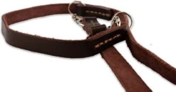 Multifunctionele Hondenriem - 220cm - Bruin - Leren Hondenriem - 100% Volnerfleer - Hondenriem Leer - Leiband Hond -Exporteren Alles Voor Honden Winkel 1200x631 1