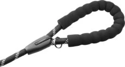 Comfortabele Hondenriem Met Gevoerd Handvat – Stevige Nylon Hondenlijn – Riem Voor Honden -Exporteren Alles Voor Honden Winkel 1200x647 1