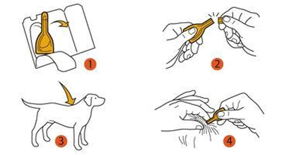 Prac-tic Grote Hond 22 Tot 50 Kg - 1 St à 3 Pipetten 13 Prac-tic Grote Hond 22 Tot 50 Kg - 1 St à 3 Pipetten - Afbeelding 11
