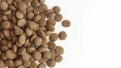 Carocroc Original 23/12 15 KG 17 Carocroc Original 23/12 15 KG -Exporteren Alles Voor Honden Winkel 1200x675 1