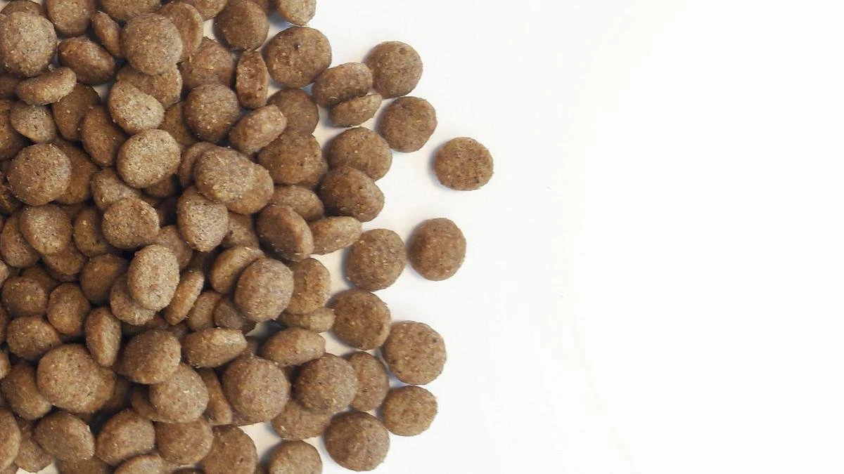 Carocroc Original 23/12 15 KG 6 Carocroc Original 23/12 15 KG - Afbeelding 4