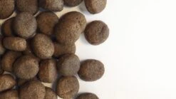 Carocroc Grain Free - Gevogelte/Aardappel/Bieten - Hondenvoer - 15 Kg 16 Carocroc Grain Free - Gevogelte/Aardappel/Bieten - Hondenvoer - 15 Kg -Exporteren Alles Voor Honden Winkel 1200x675 2