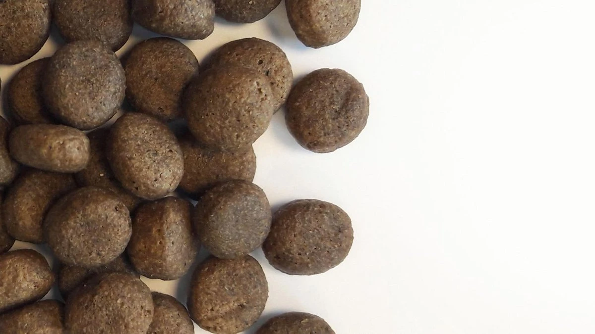 Carocroc Grain Free - Gevogelte/Aardappel/Bieten - Hondenvoer - 15 Kg 8 Carocroc Grain Free - Gevogelte/Aardappel/Bieten - Hondenvoer - 15 Kg - Afbeelding 6