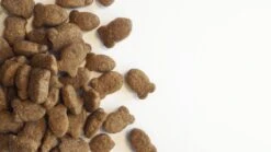 Carocroc Skin Support - Gevogelte/Granen/Vis - Hondenvoer - 15 Kg 20 Carocroc Skin Support - Gevogelte/Granen/Vis - Hondenvoer - 15 Kg -Exporteren Alles Voor Honden Winkel 1200x675