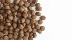 Carocroc Small Breed 25/16 - Hondenvoer - 15 Kg -Exporteren Alles Voor Honden Winkel 1200x675 5